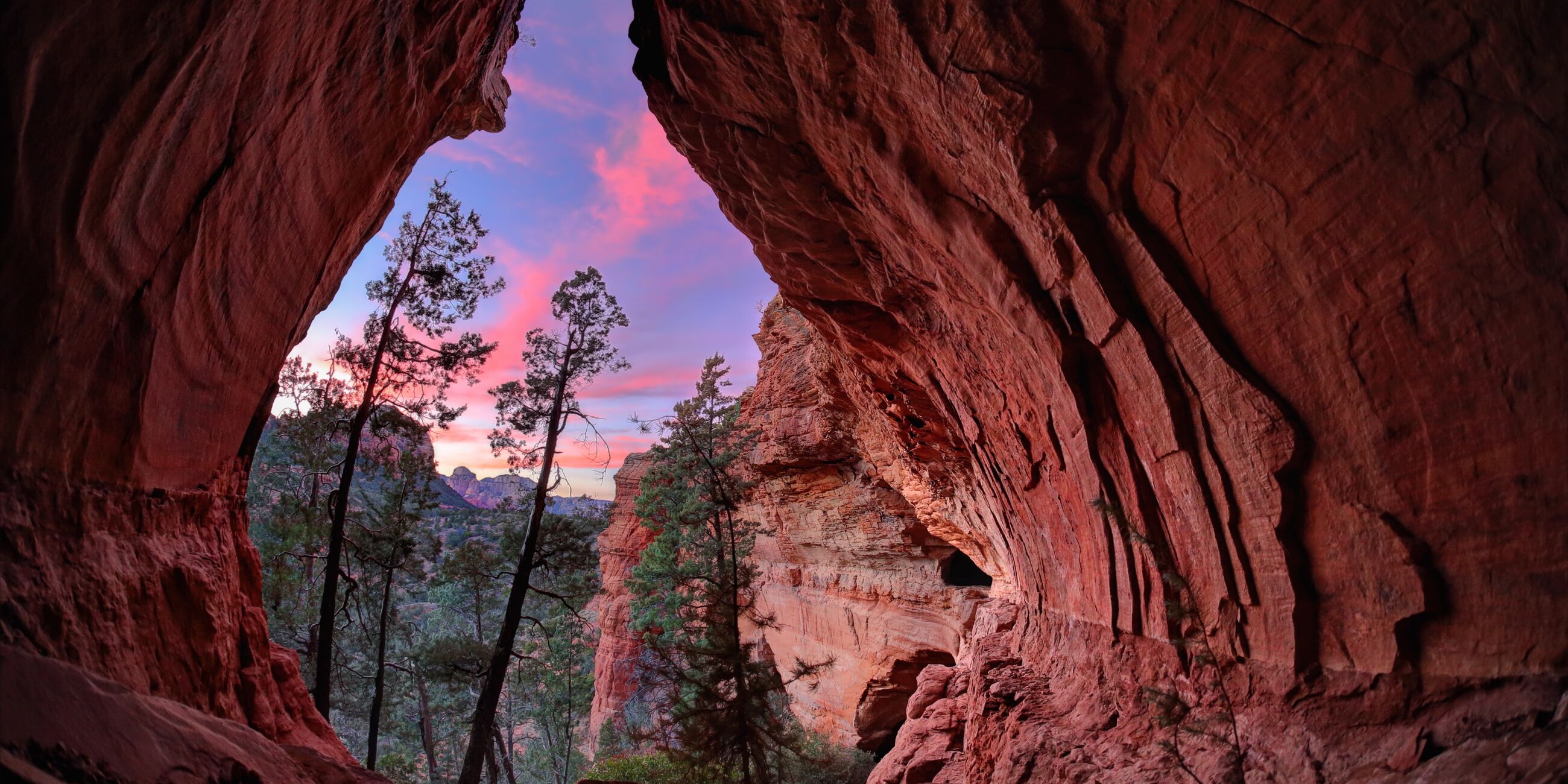 Trees and sky seen through cave during sunset