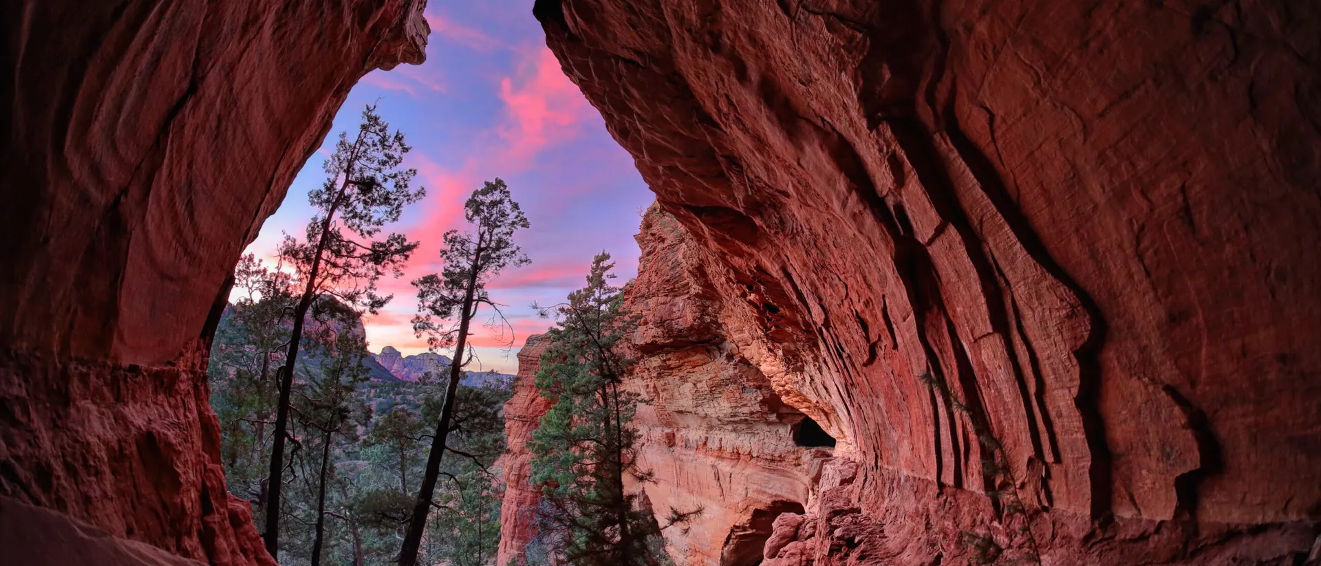 Trees and sky seen through cave during sunset
