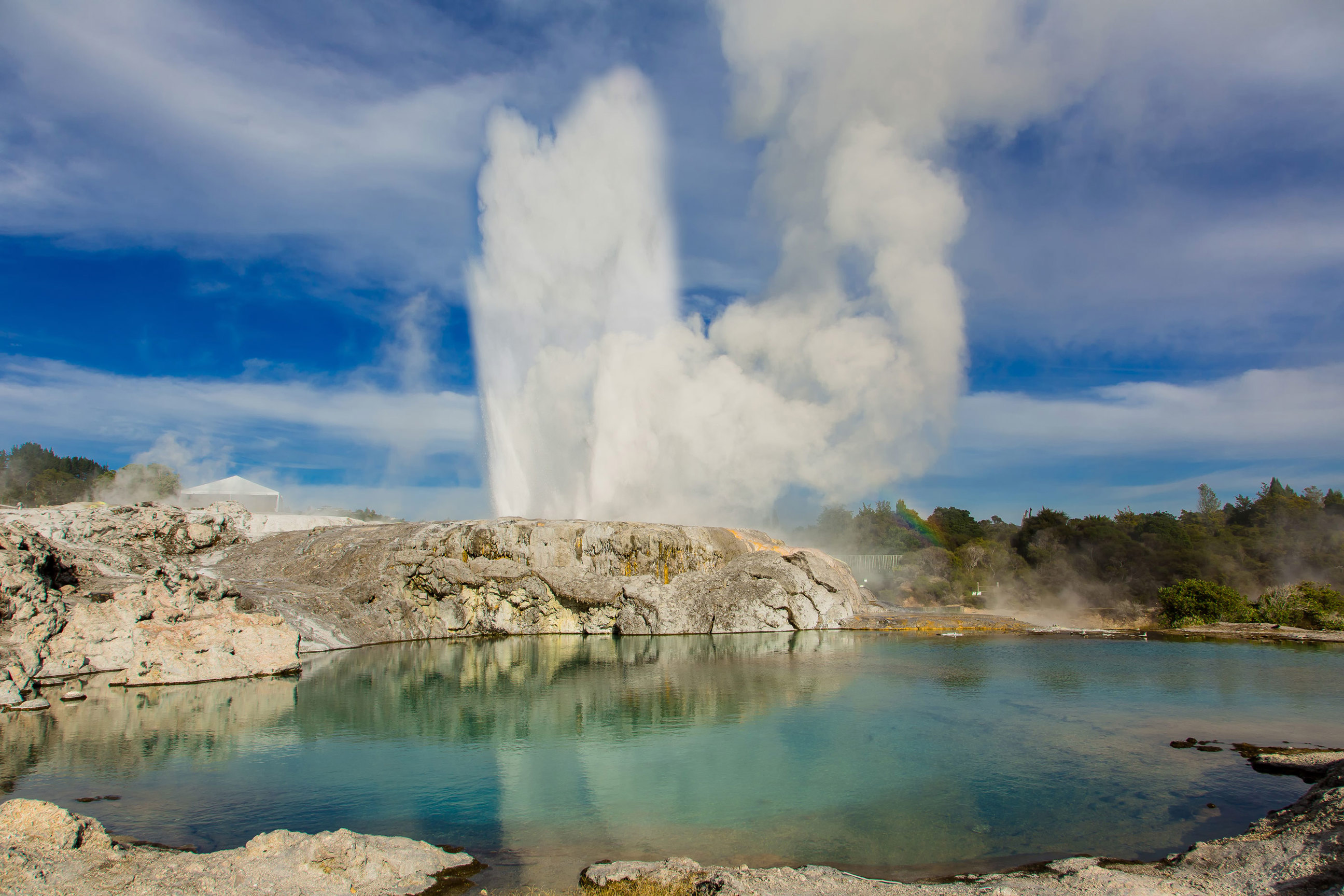 Pohutu Geyser, Te Puia, Rotorua, New Zealand