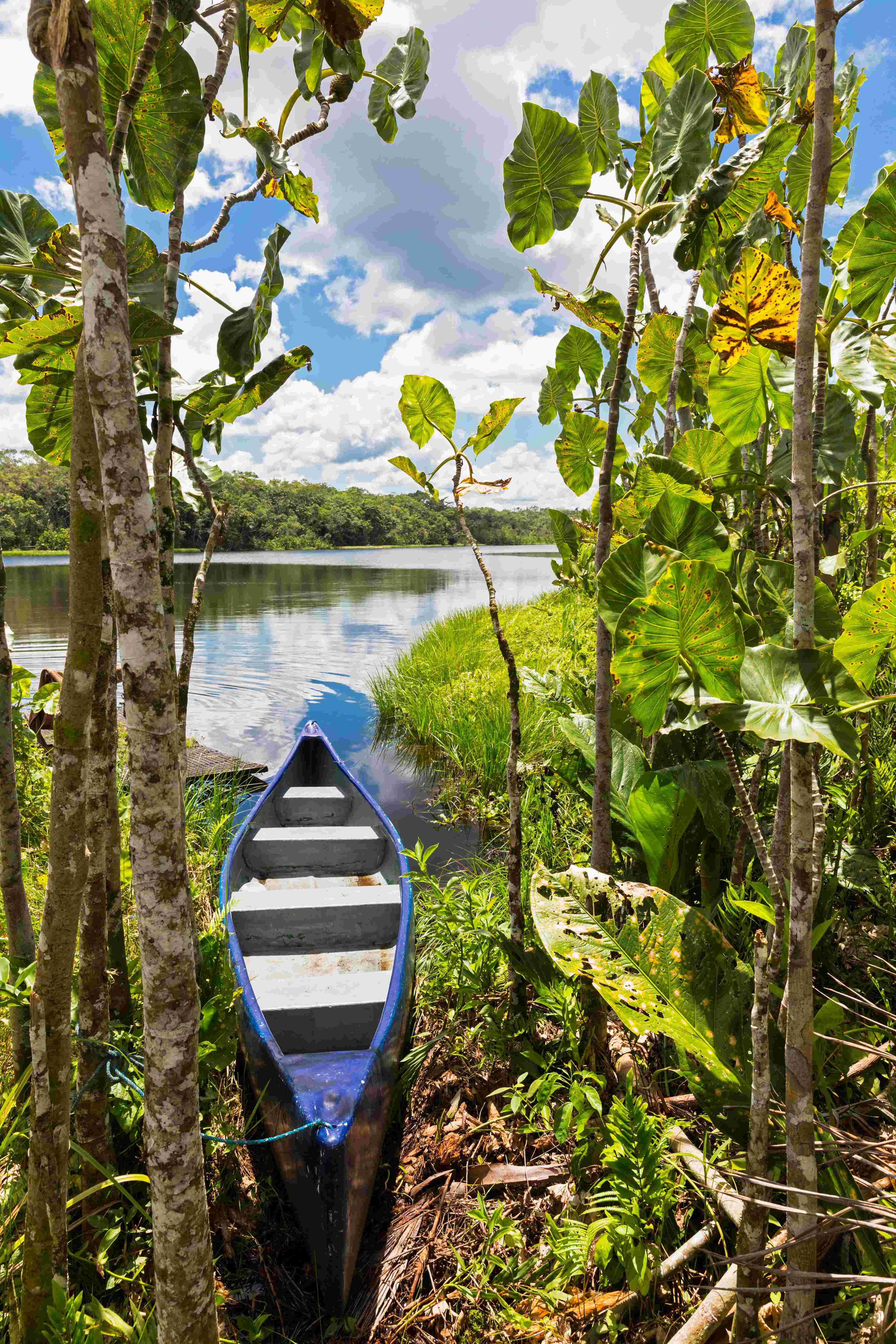 Boat resting on the banks of the Amazon River in Ecuador, South America