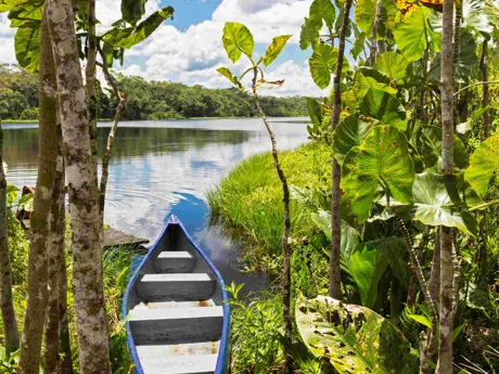 Boat resting on the banks of the Amazon River in Ecuador, South America