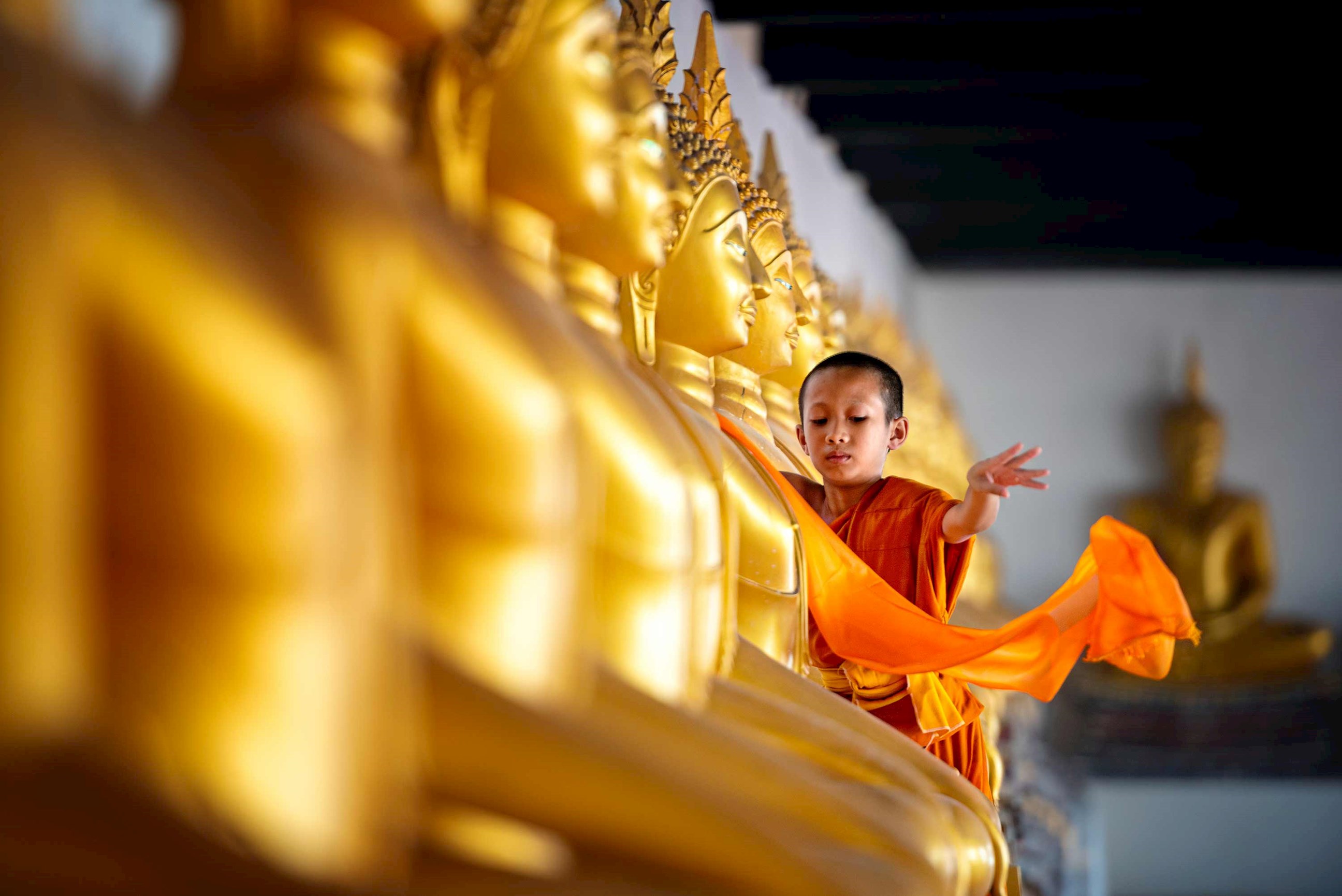 Young Buddhist monk beside golden Buddha statues in temple