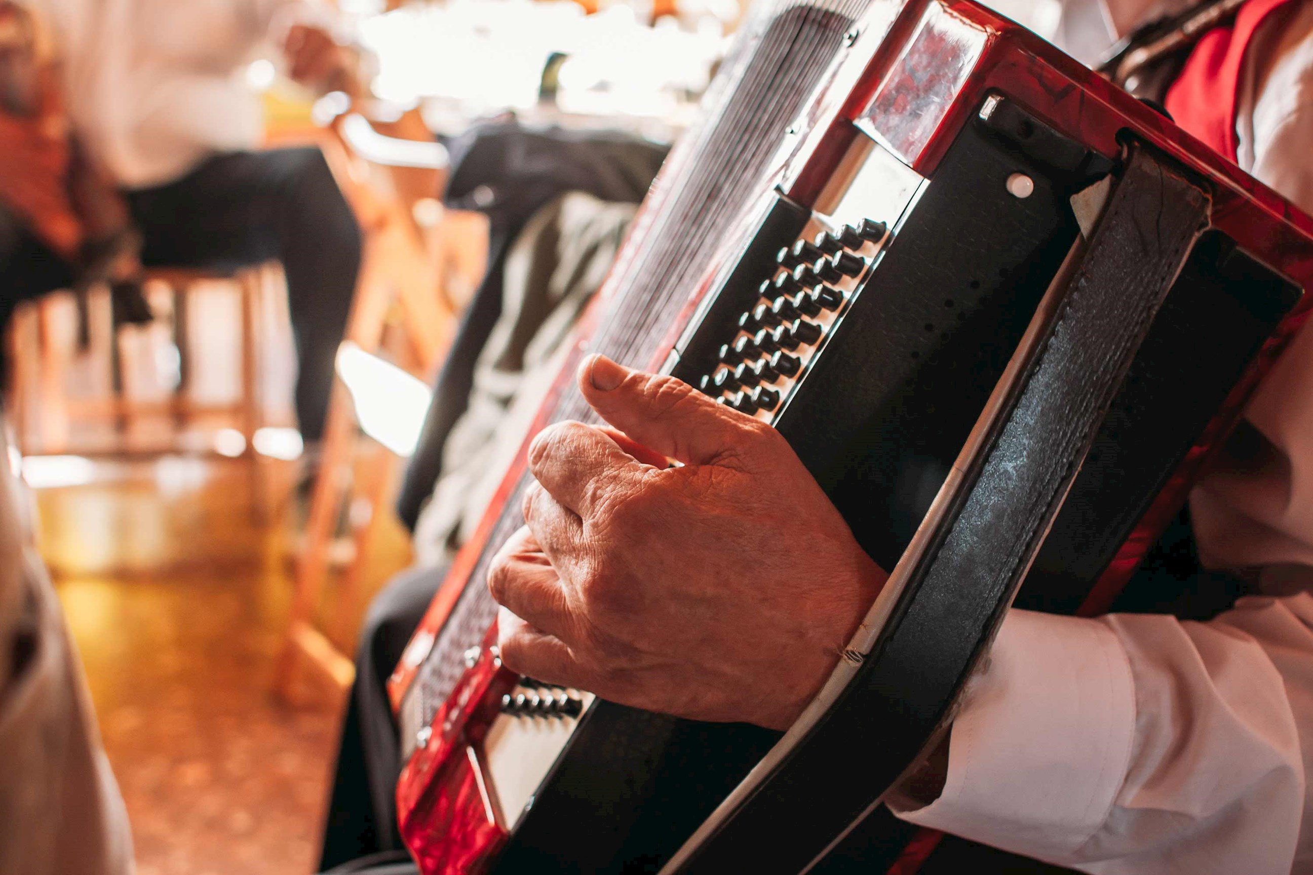 Close-up of accordionist’s hands playing accordion