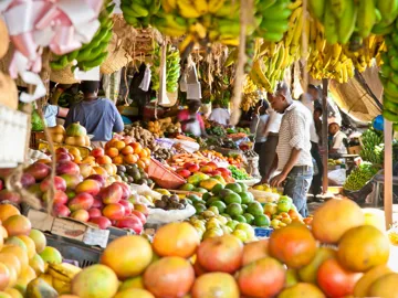 city-tour-nairobi-kenya.jpg