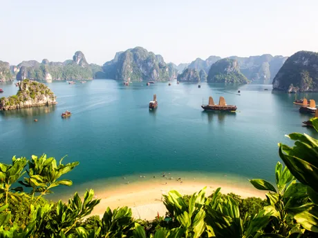 Traditional boats sailing through ha long bay in Vietnam