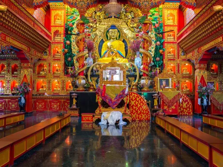 A pilgrimage site at Sarnath in India. A golden buddha sits high up on a golden chair surrounded by red and gold decoration.