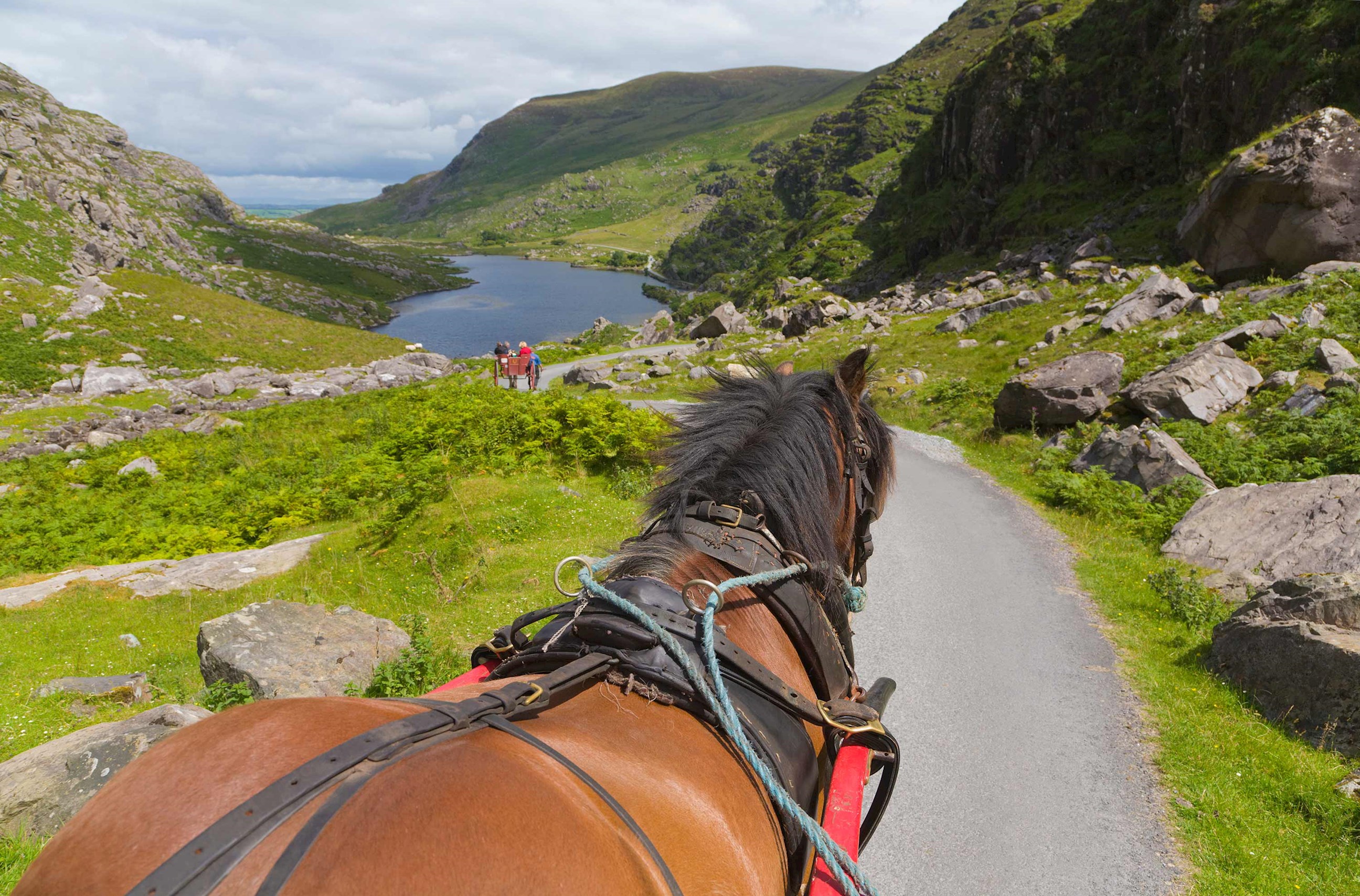 jaunting-cart-ride-killarney-ireland.jpg