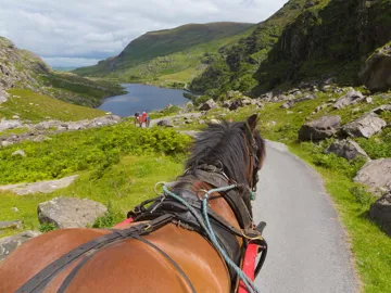 Horse-drawn carriage on scenic mountain road overlooking Killarney lakes