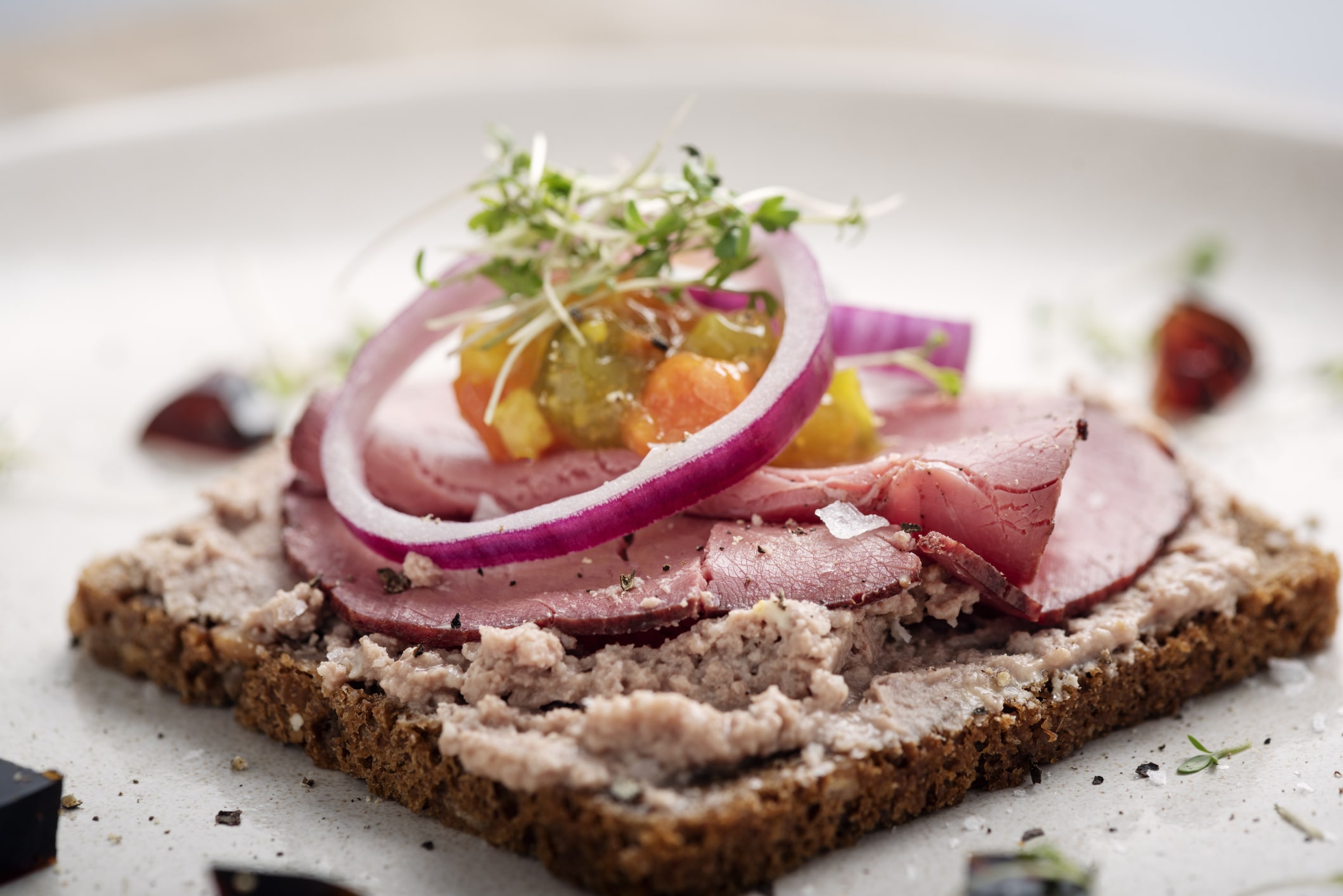 Scandinavia Smorrebrod Sandwich dish with red onion