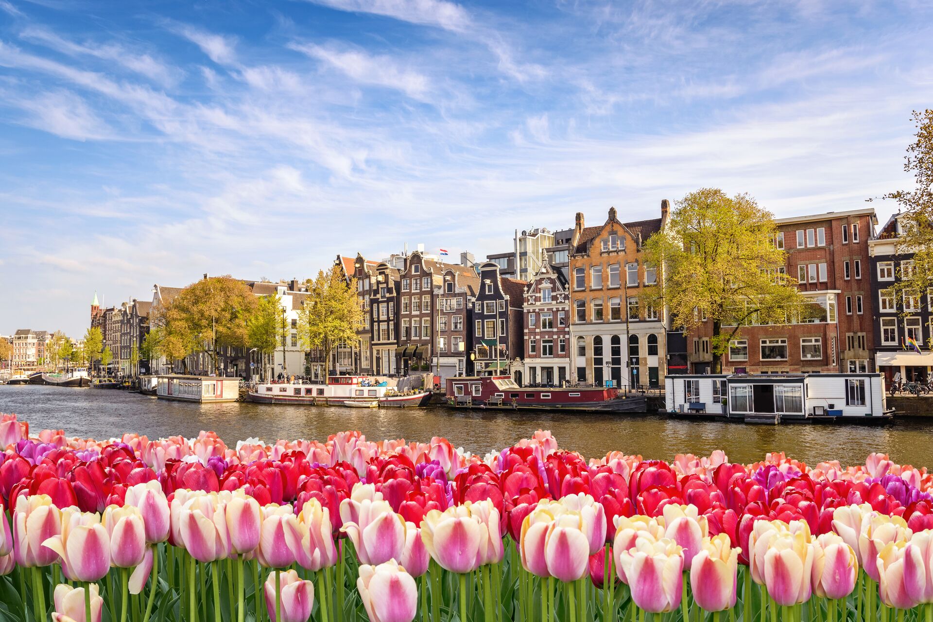 amsterdam-city-skyline-at-canal-waterfront-with-spring-tulip-flower-918640178.jpg