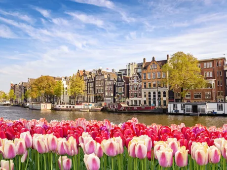 amsterdam-city-skyline-at-canal-waterfront-with-spring-tulip-flower-918640178.jpg