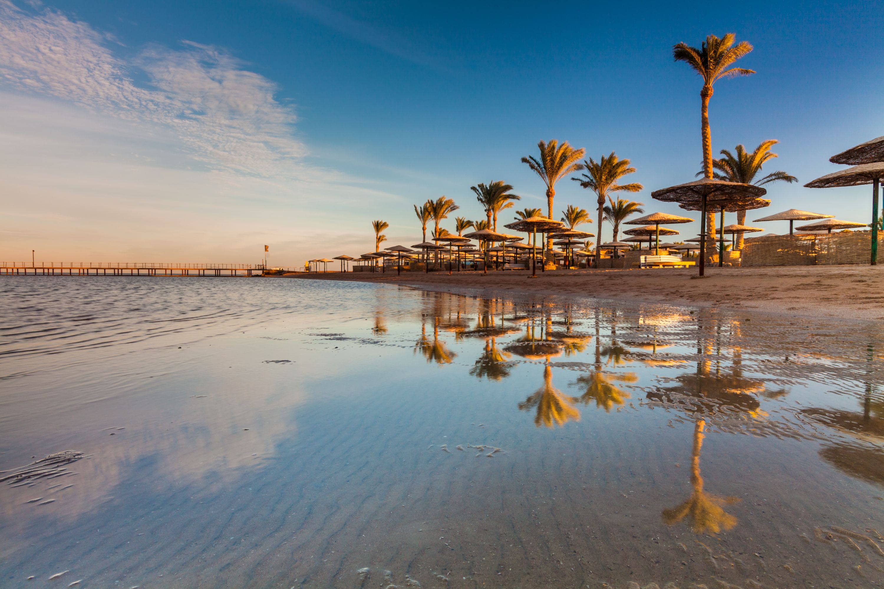 Palm trees along the edge of a beach with beach umbrellas in Hurgada, Egypt