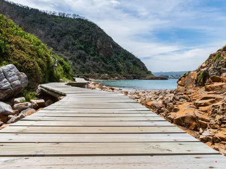 A wooden walkway leading to a rocky beach in Featherbed Nature reserve. South Africa