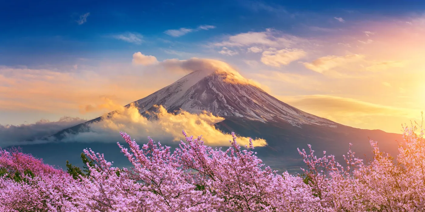 fuji-mountain-and-cherry-blossoms-in-spring-japan-1086267840.jpg