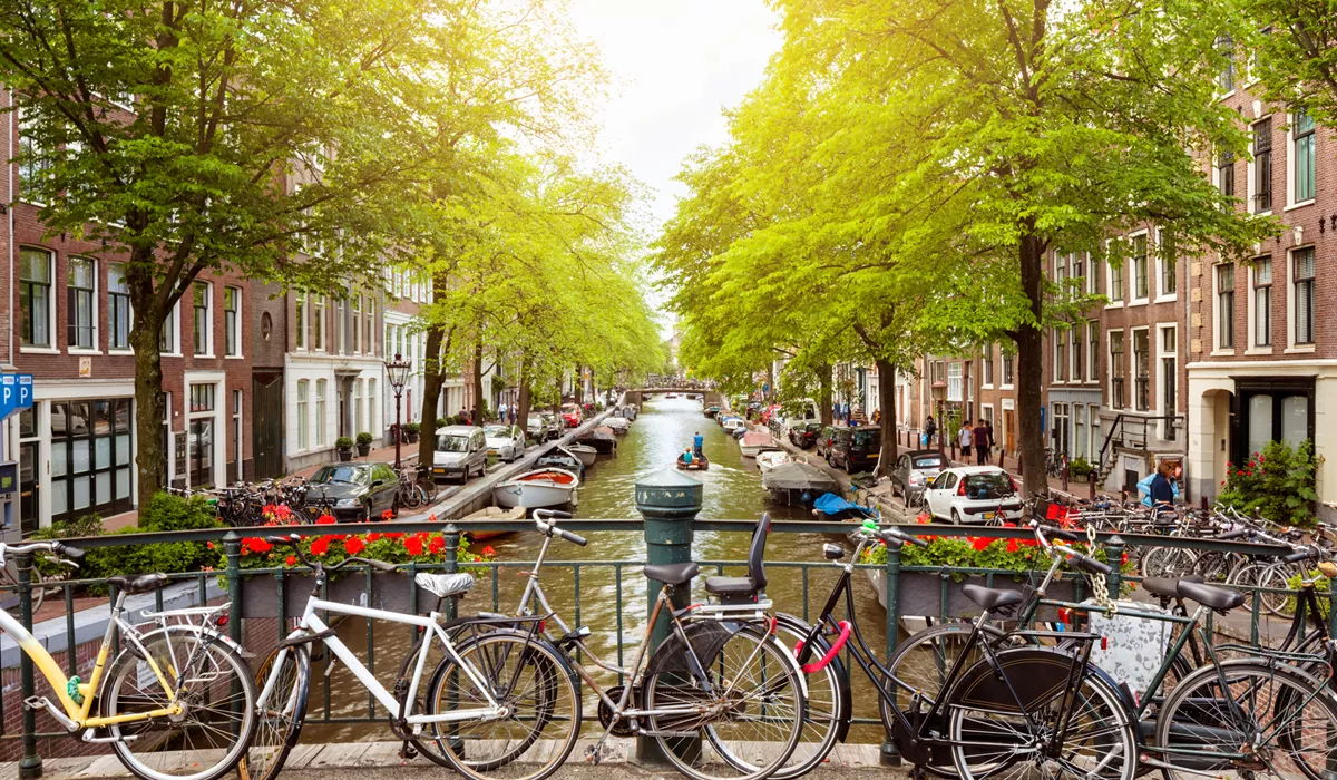Bridge with many bikes and trees around in Holland Amsterdam