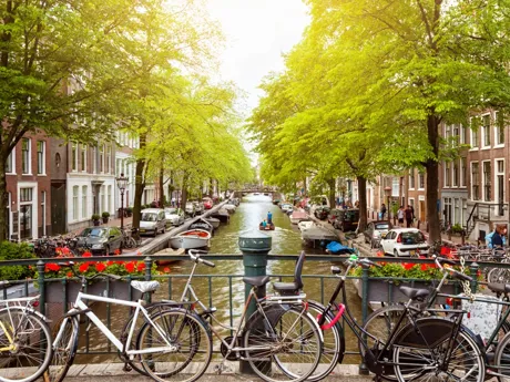 Bridge with many bikes and trees around in Holland Amsterdam