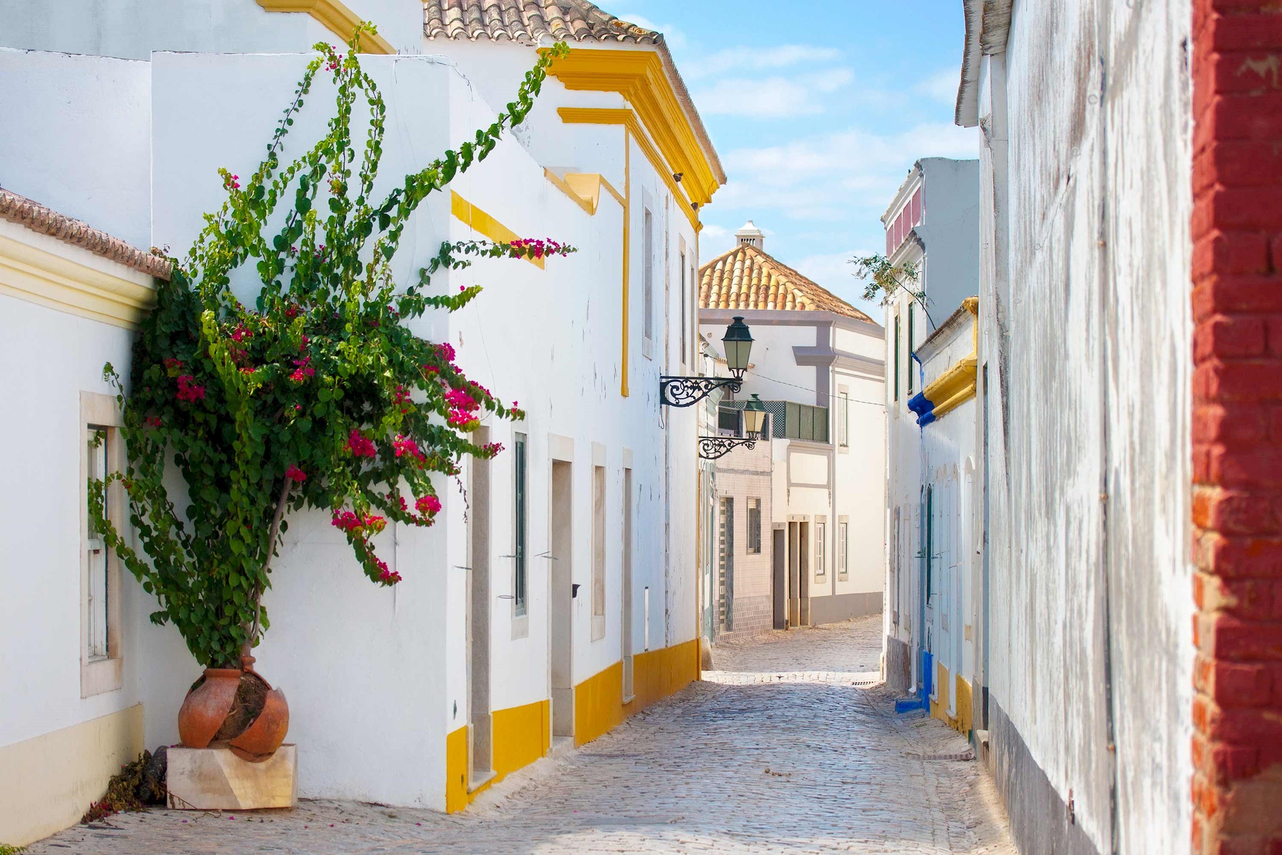 Cobblestone street lined with whitewashed houses and a terracotta pot with pink bougainvillea in Faro, Portugal