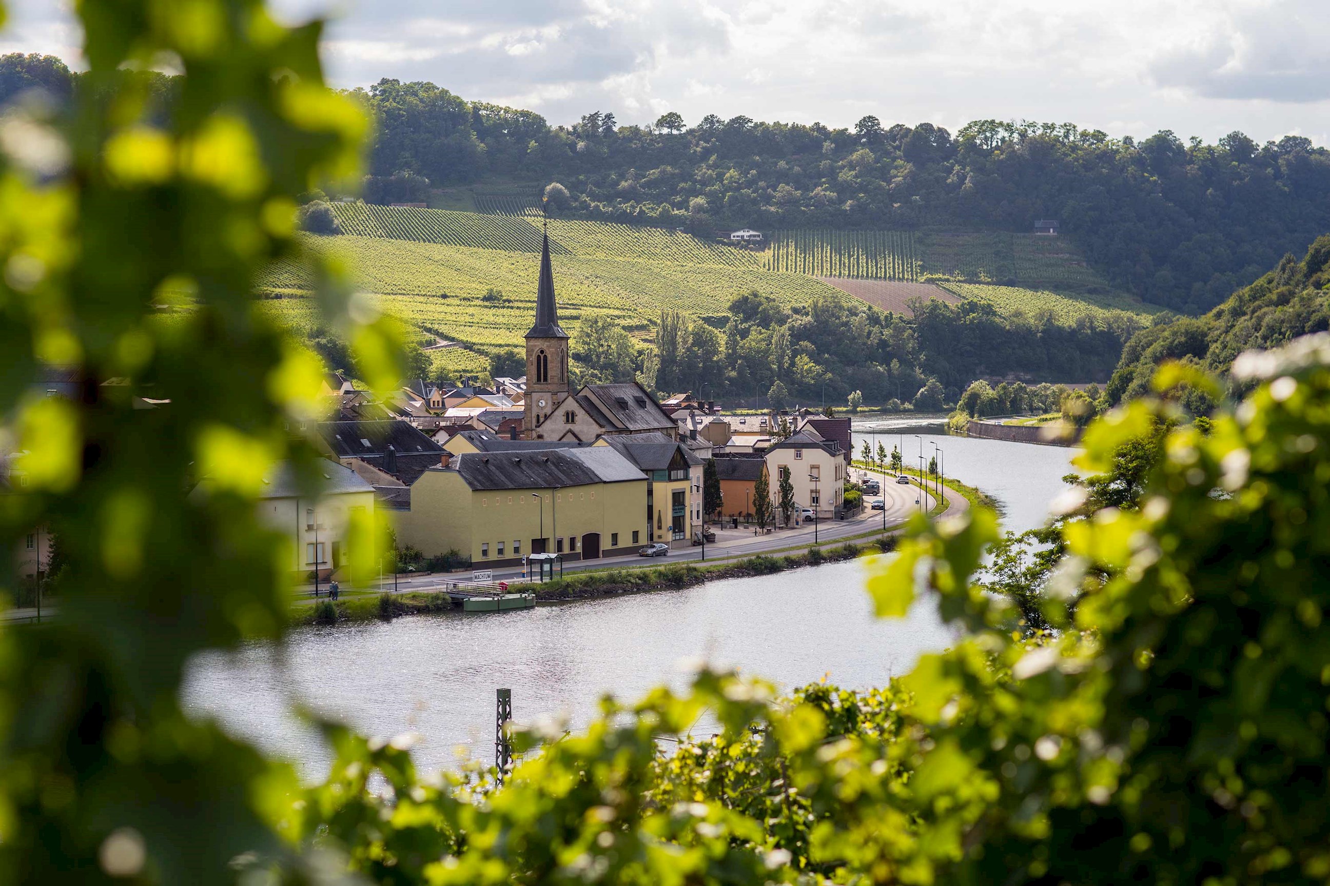 Scenic riverside village framed by greenery in Rhineland, Germany