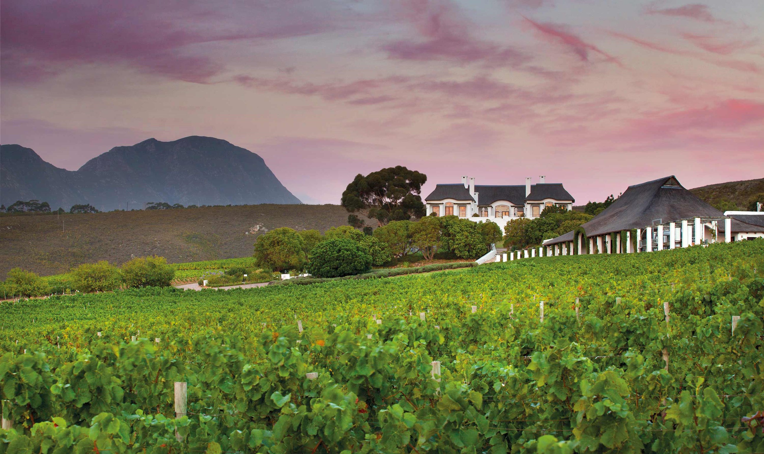 visit-bouchard-finlayson-winery-hermanus-south-africa.jpg