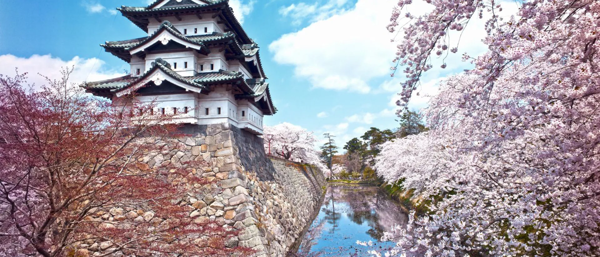Kurama Dera Temple surrounded by cherry blossom, Japan