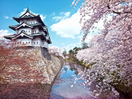Kurama Dera Temple surrounded by cherry blossom, Japan