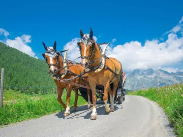 enjoy-horse-carriage-ride-switzerland.jpg
