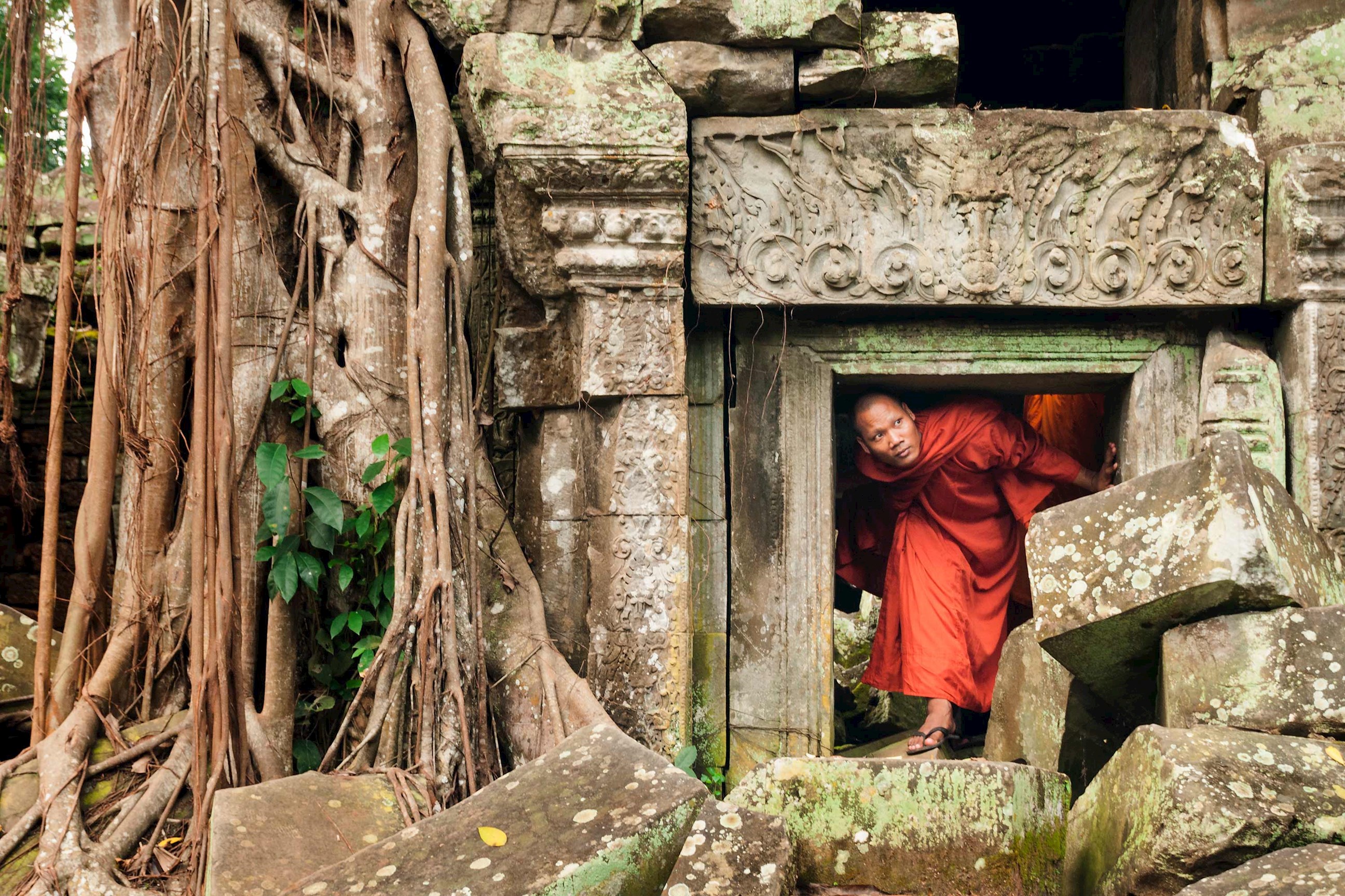 visit-ta-prohm-temple-siem-reap-cambodia.jpg