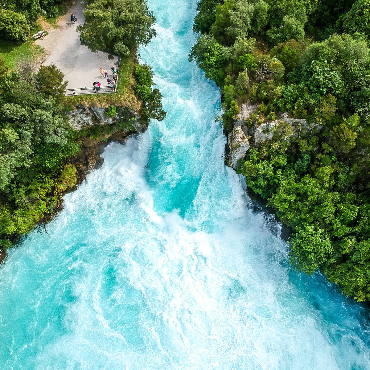 new-zealand-vista-guided-tour.jpg
