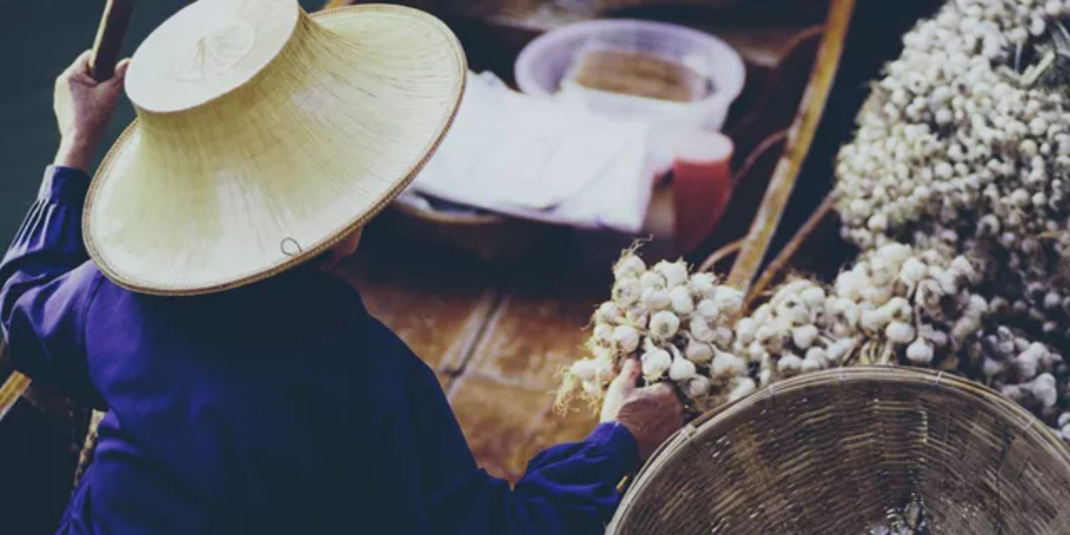 Woman in traditional hat carrying bunch of garlic in a Boat Sankamphaeng Thailand