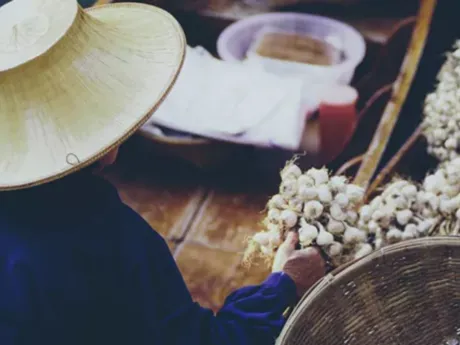 Woman in traditional hat carrying bunch of garlic in a Boat Sankamphaeng Thailand