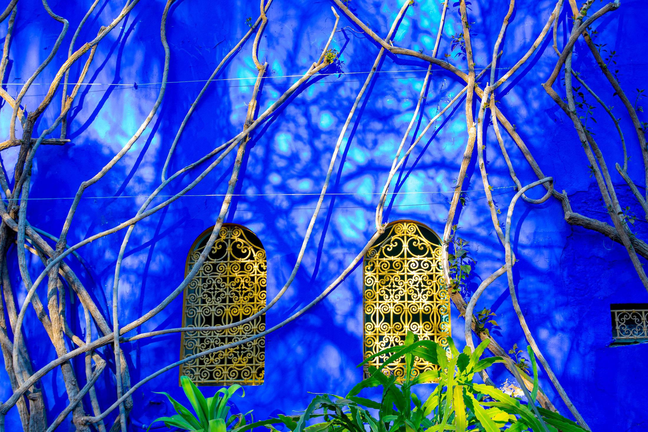 visit-majorelle-gardens-marrakesh-morocco.jpg