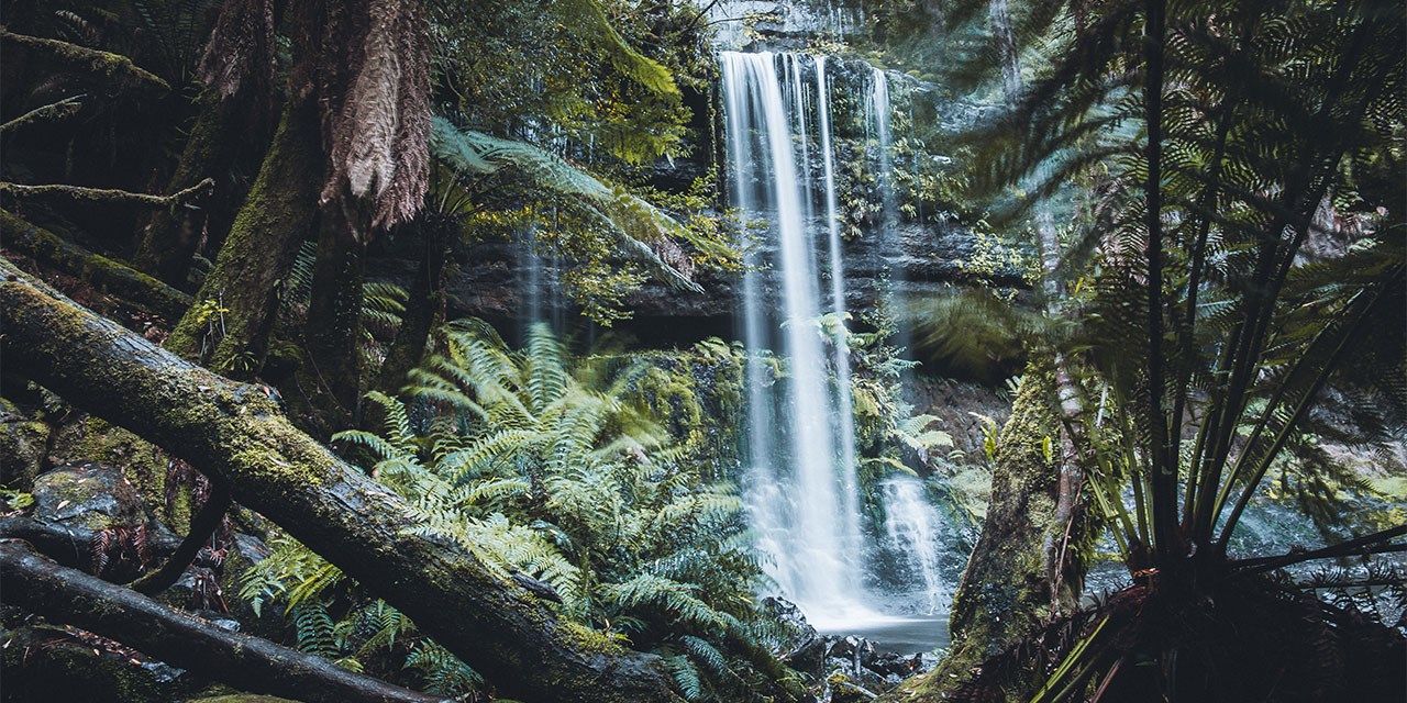 russell-falls-fhhl-day-2.jpg
