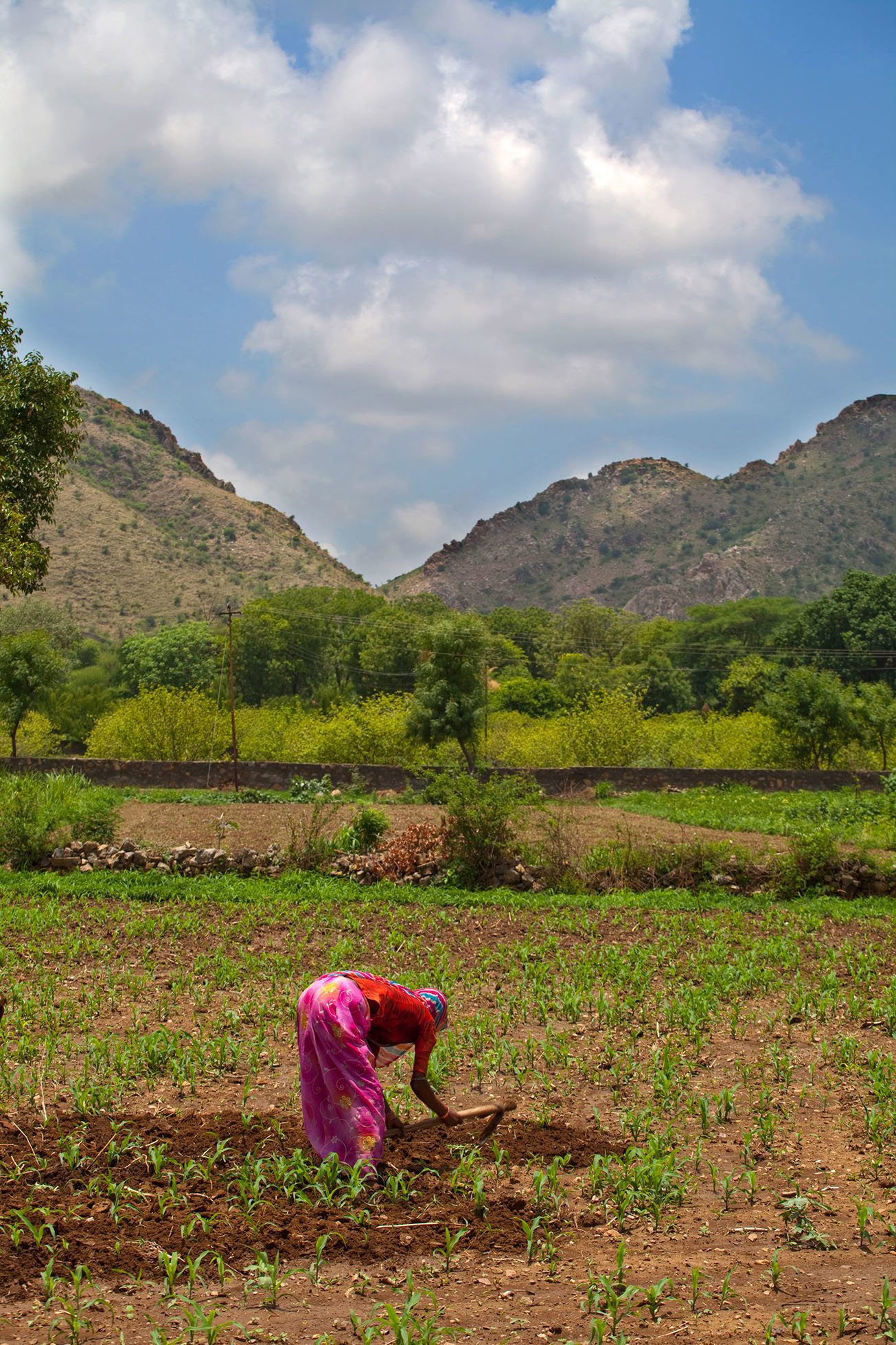 bhil-tribe-village-trek-udaipur-india.jpg
