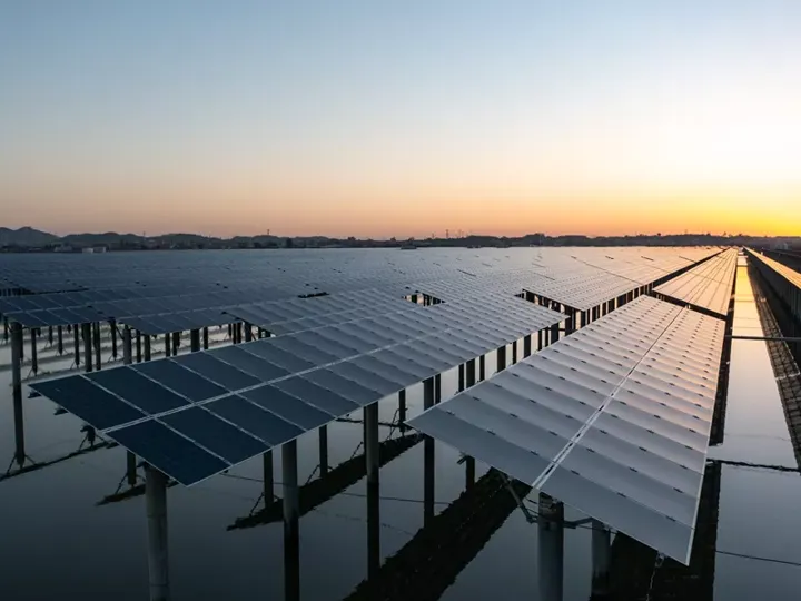 A row of solar panels during sunset