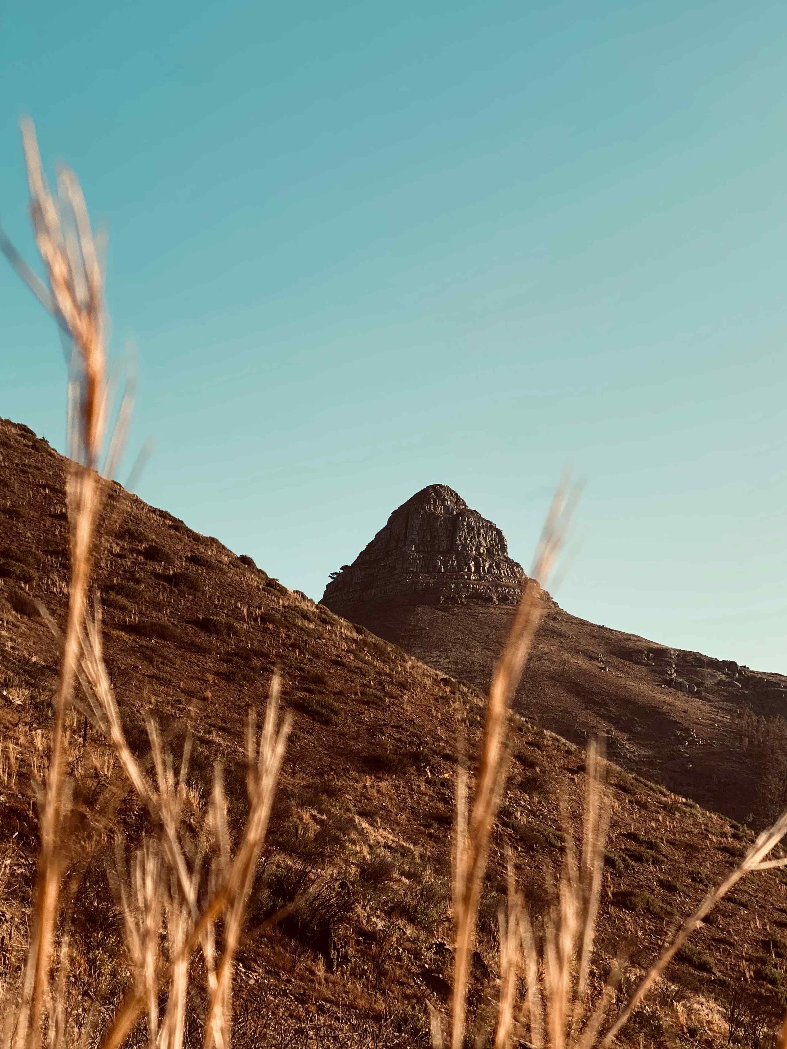 A stark, black rock mountain with brown grass in the foreground, Lionhead Mountain in South Africa