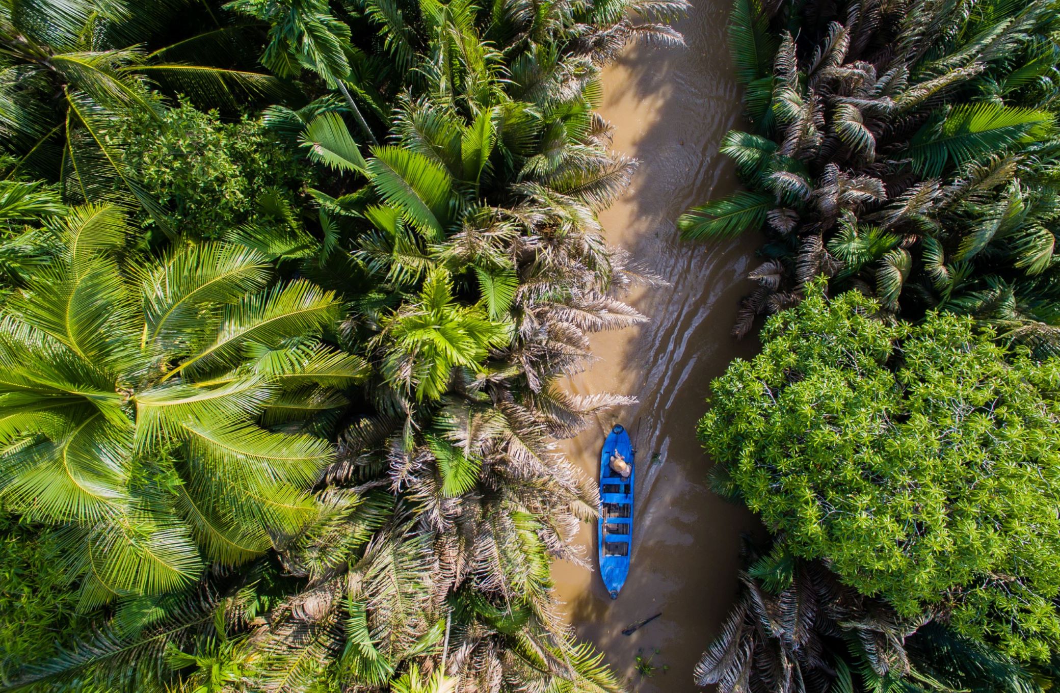 A boat navigates through the Mekong Delta in Vietnam, with lush trees and plants either side of the river.
