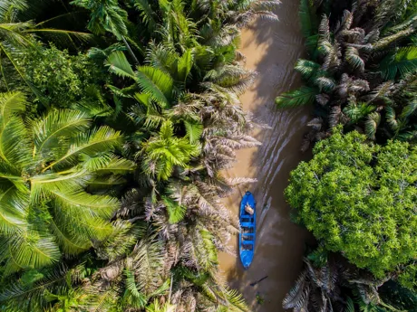 A boat navigates through the Mekong Delta in Vietnam, with lush trees and plants either side of the river.