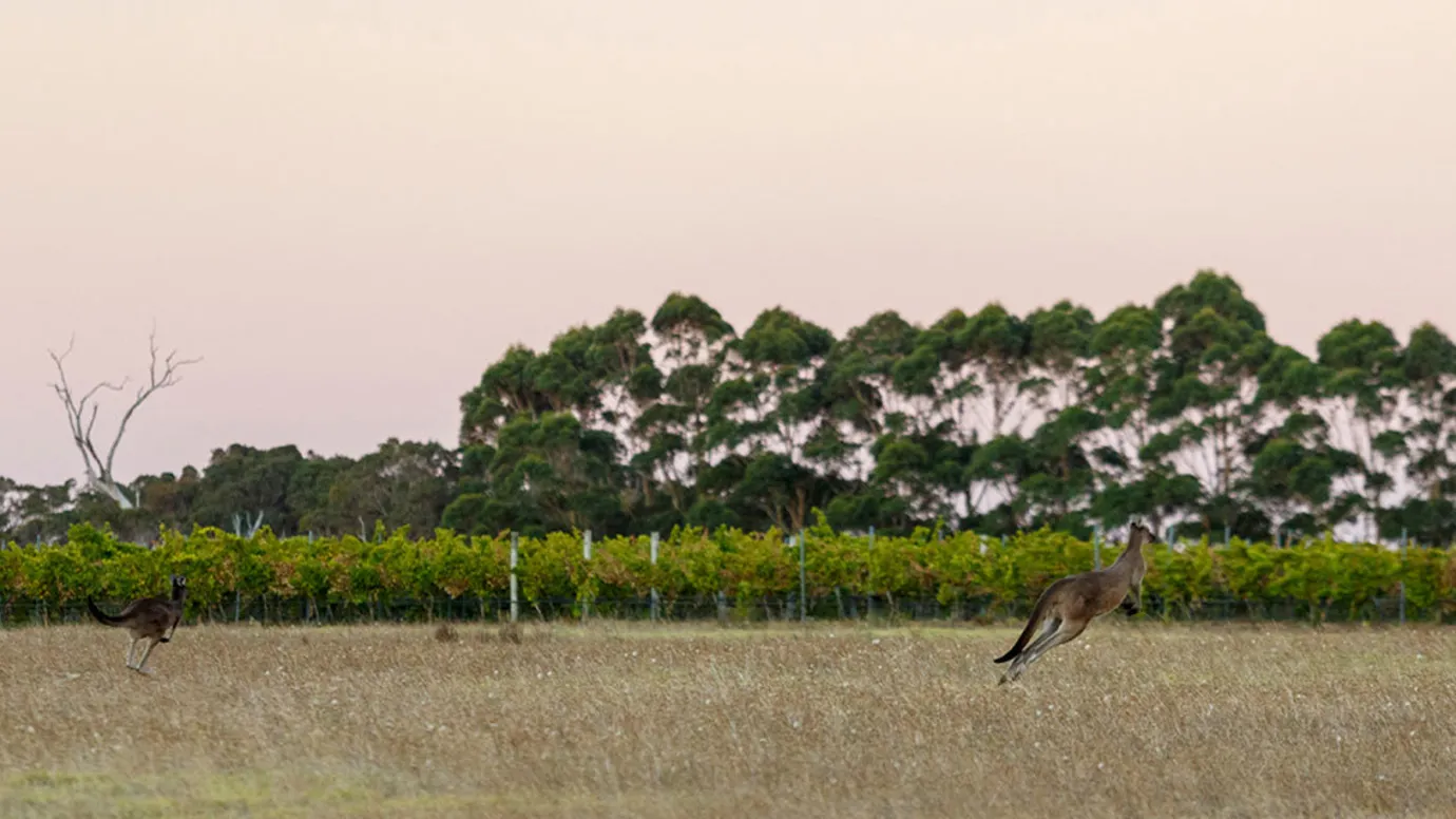 Xanadu Wines Xanadu Wines