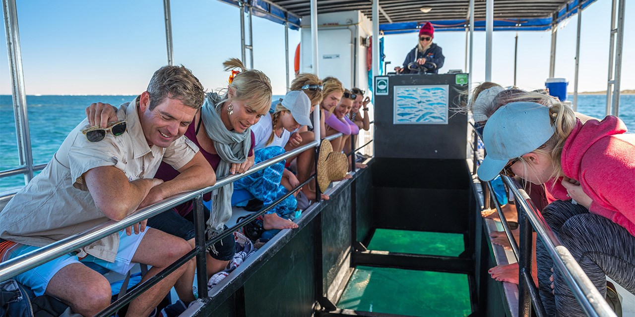 glass-bottom-boat-coral-bay-day-16.jpg