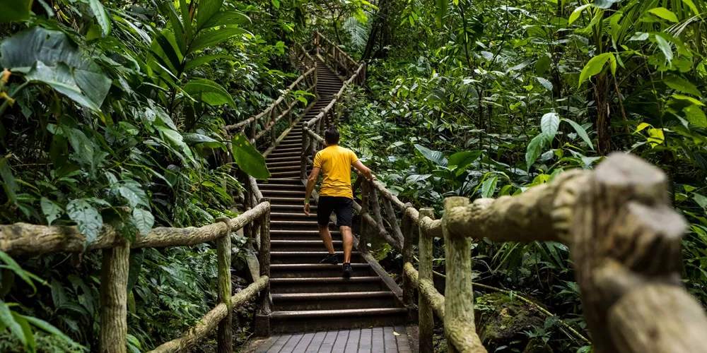 Man in yellow T-Shirt walking up jungle stairs