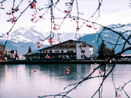 Tree branches in the foreground, with lakeside cabin and the Swiss Alps in the background