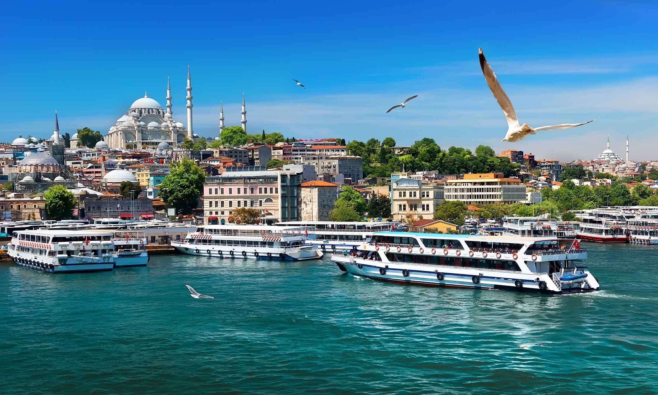Cruise ships in the Bosphorus Strait, Istanbul, Turkiye