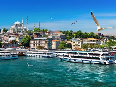 Cruise ships in the Bosphorus Strait, Istanbul, Turkiye
