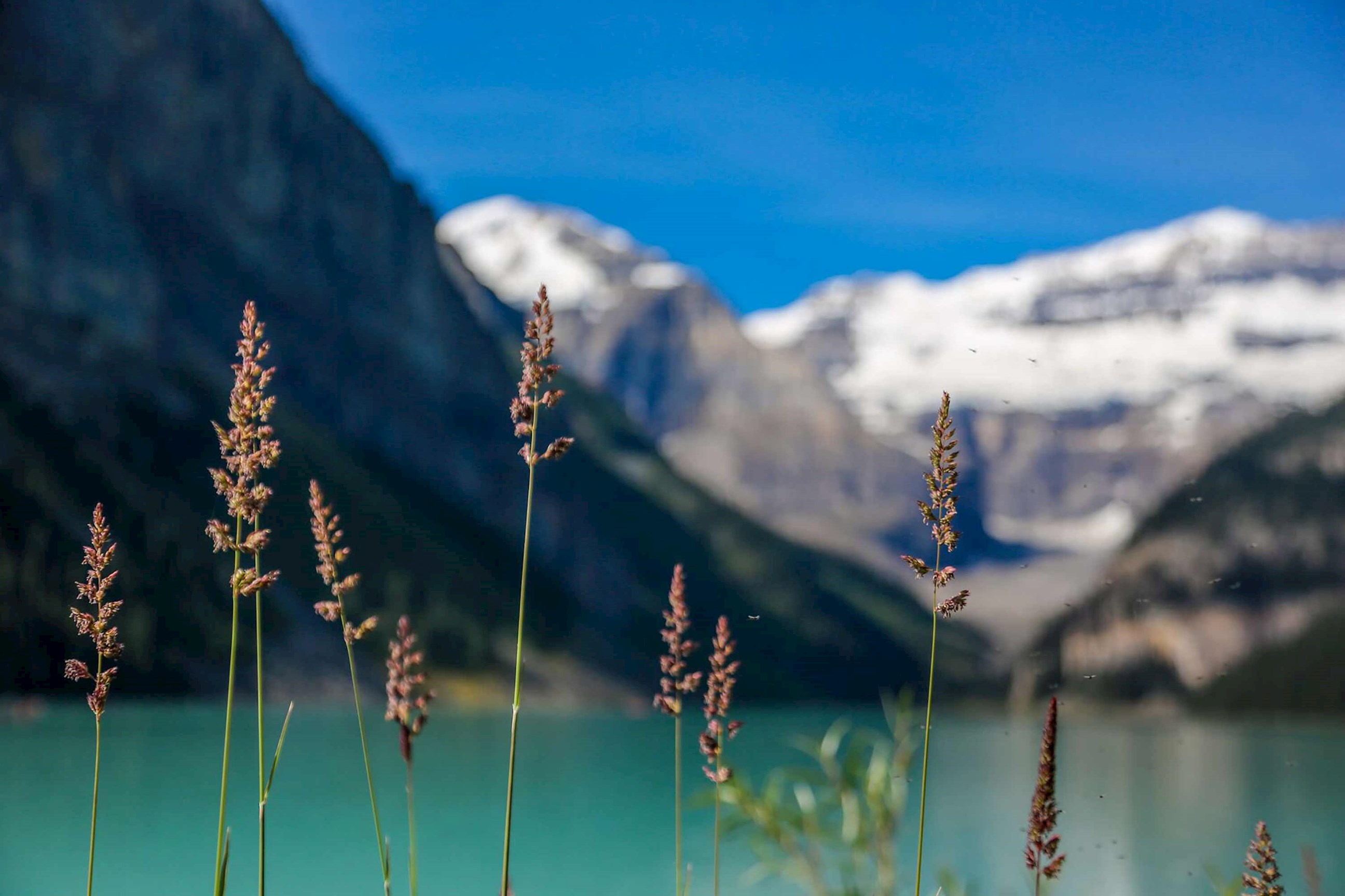 Lake Louise in Banff, Canada