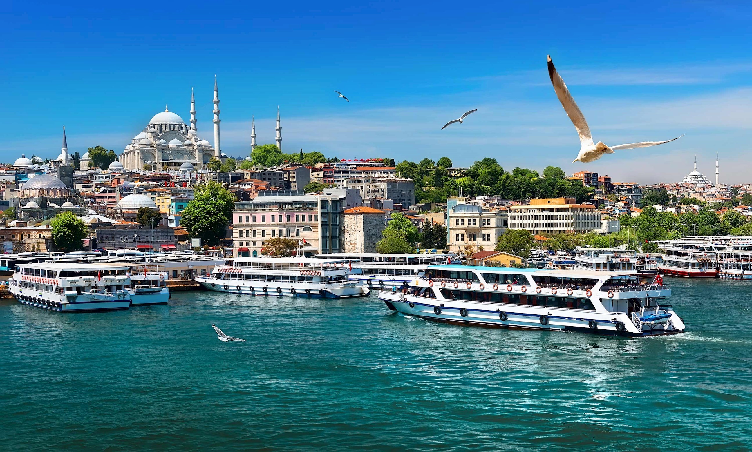 traditional-bosphorus-cruise-istanbul-turkey.jpg