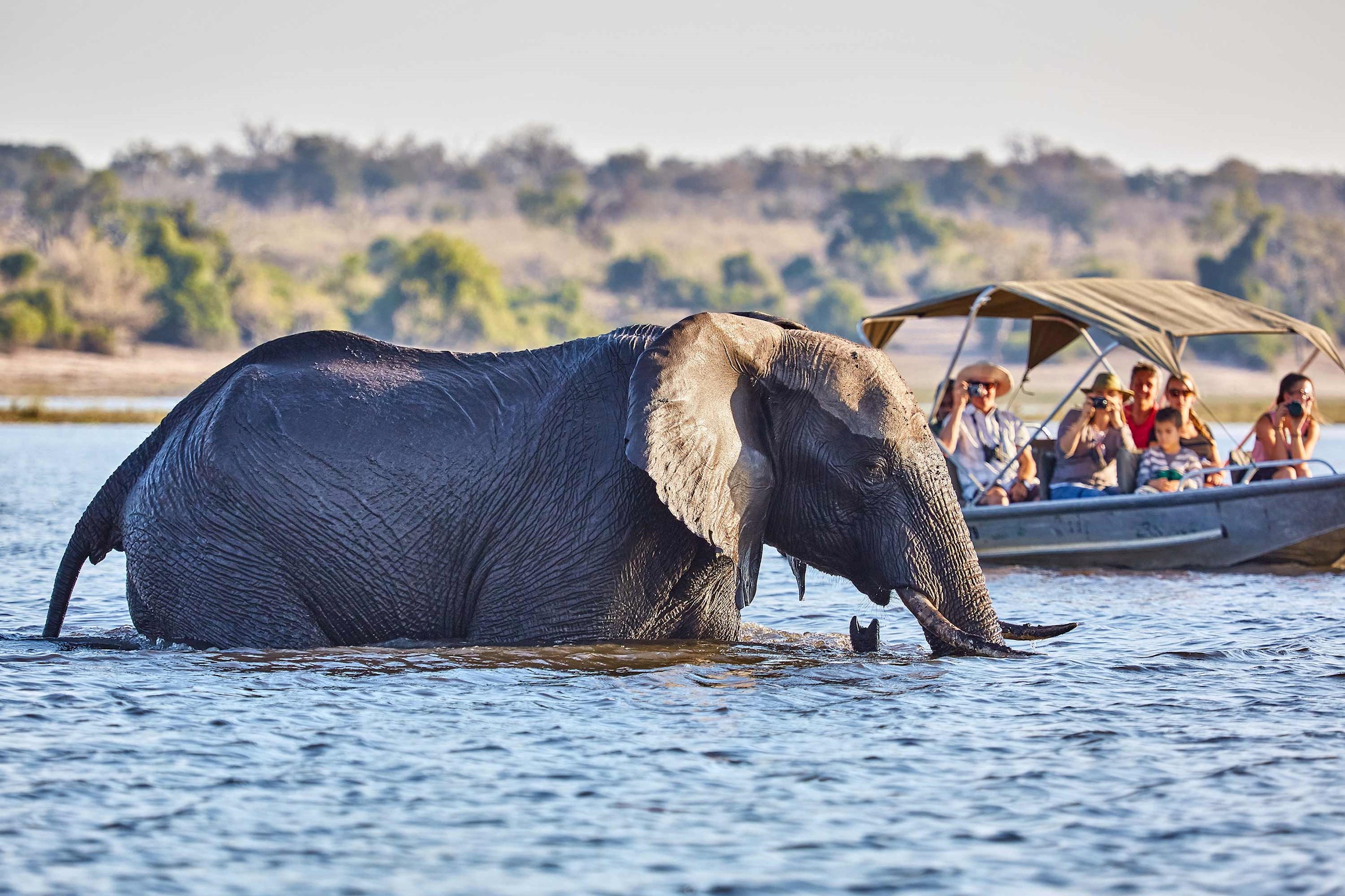 tourists-boat-elephant-chobe-national-park-botswana.jpg
