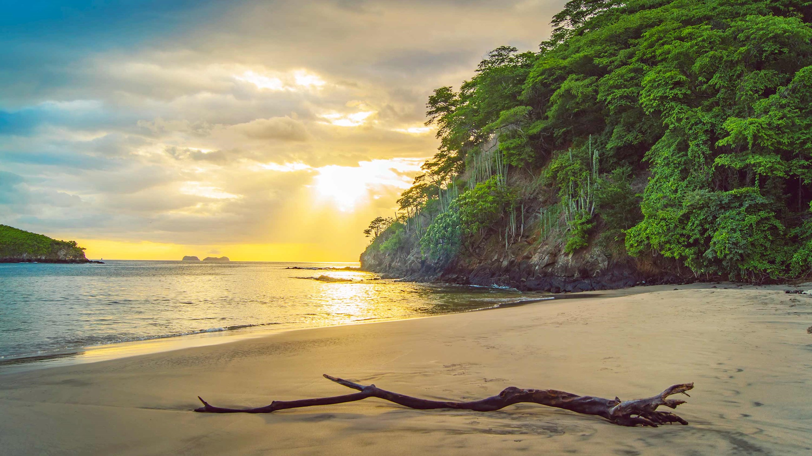Costa Rica Adventure with Tortugero and Guanacaste Guided Tour