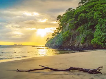Costa Rica Adventure with Tortugero and Guanacaste Guided Tour