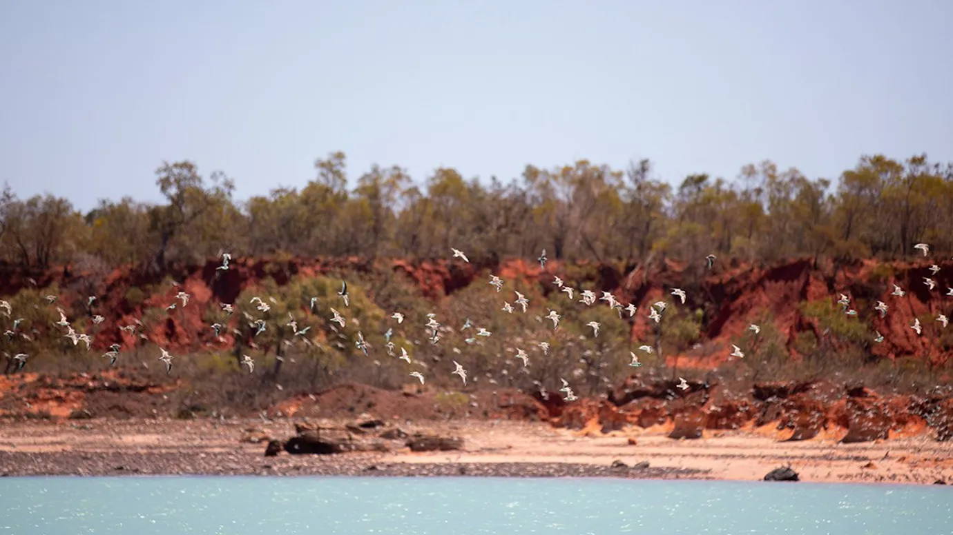 Cable Beach