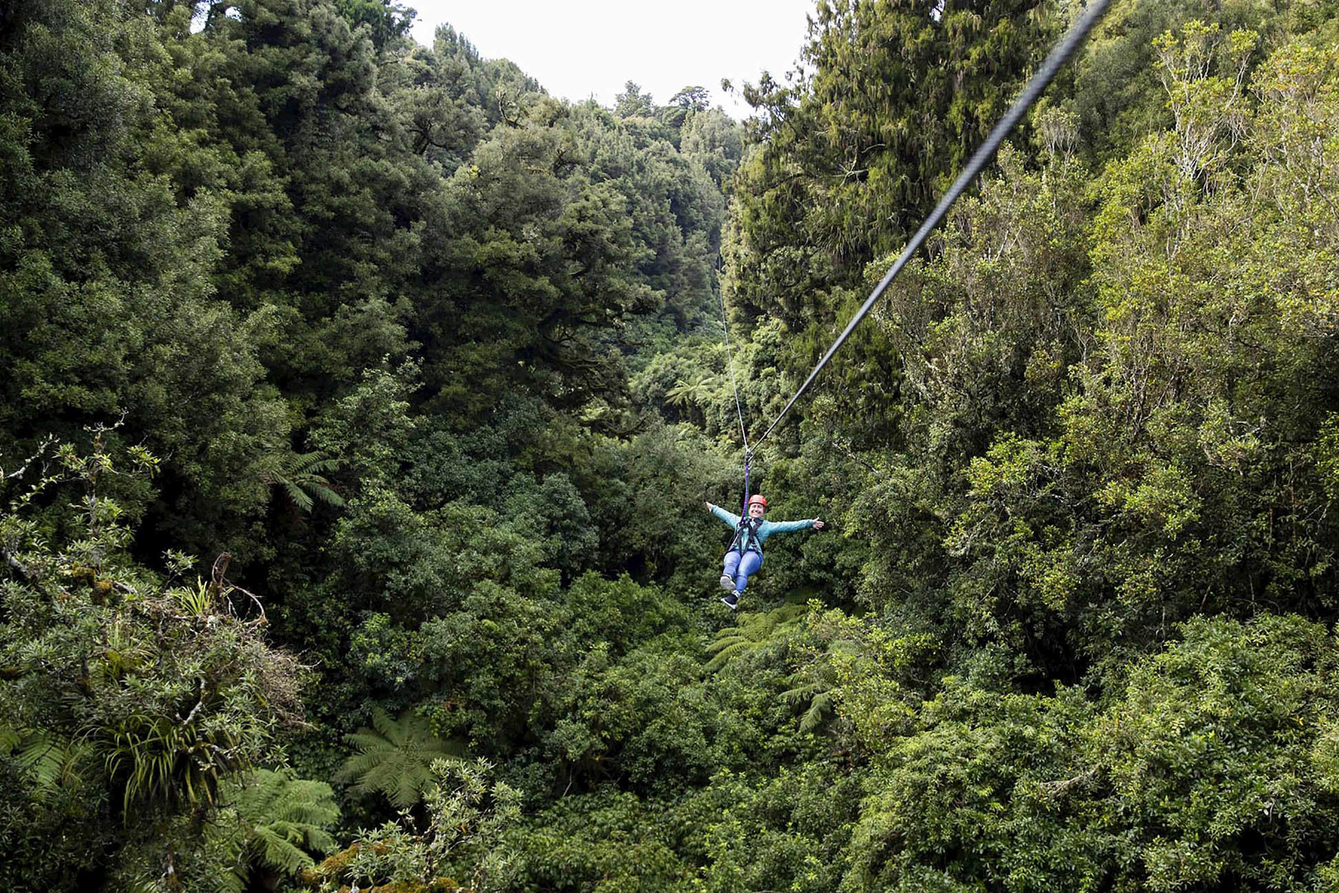 enjoy-canopy-zipline-tour-rotorua-new-zealand.jpg